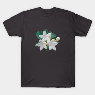 Pīkake or Arabian Jasmine T-Shirt